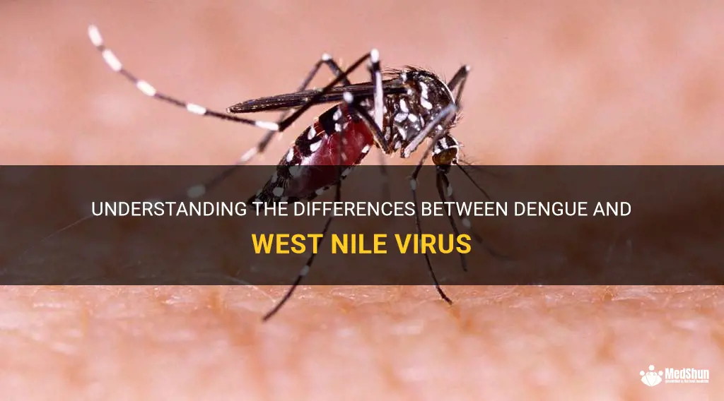 is dengue and west nile virus the same