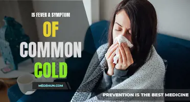 Exploring the Connection: Is Fever a Symptom of the Common Cold?
