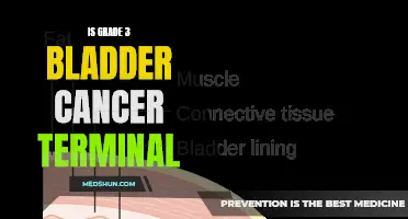 Understanding the Terminal Nature of Bladder Cancer in Grade 3