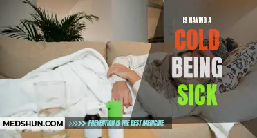 The Common Cold: Is It Really Being Sick?