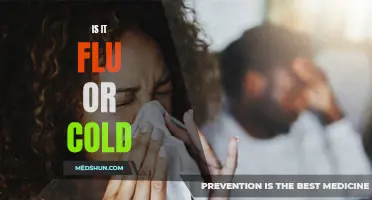 How to Determine if You Have the Flu or a Cold