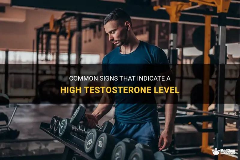 Common Signs That Indicate A High Testosterone Level Medshun 