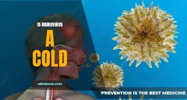 Is Rhinovirus the Cause of the Common Cold?