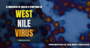 Exploring the Link Between Shortness of Breath and West Nile Virus: Unveiling the Symptoms