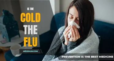 Debunking the Misconception: The Difference Between a Cold and the Flu