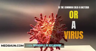 Is the Common Cold Caused by Bacteria or a Virus?
