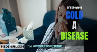 Understanding the Common Cold: Is it a Disease or Just a Minor Illness?