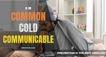 Is the Common Cold a Communicable Illness?