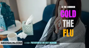 What's the Difference Between the Common Cold and the Flu?