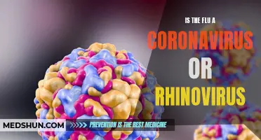 Understanding the Differences: Is the Flu a Coronavirus or Rhinovirus?