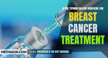 The Potential Benefits of the Typhoid Vaccine in Breast Cancer Treatment