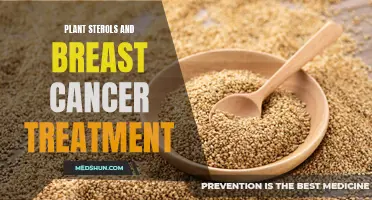 Can Plant Sterols Help in the Treatment of Breast Cancer?
