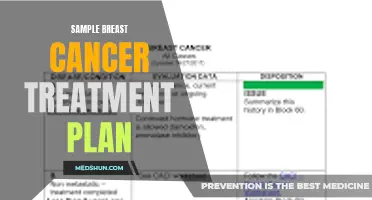 A Closer Look at a Sample Breast Cancer Treatment Plan: What You Need to Know
