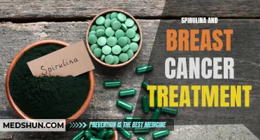 The Potential Role of Spirulina in Breast Cancer Treatment: Current Evidence and Future Directions