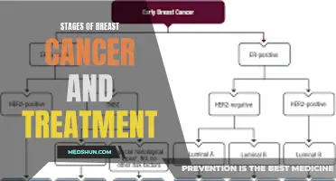 Understanding the Stages of Breast Cancer: A Guide to Diagnosis and Treatment