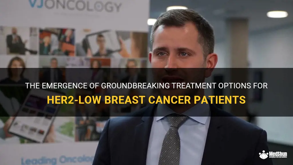 the exciting new field of her2-low breast cancer treatment