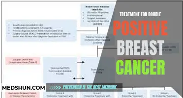 A Comprehensive Guide to Treatment Options for Double Positive Breast Cancer