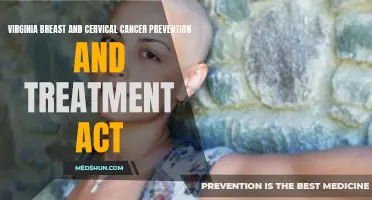 Understanding the Virginia Breast and Cervical Cancer Prevention and Treatment Act: Promoting Women's Health and Saving Lives