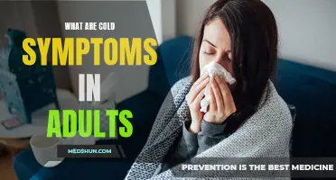 Recognizing the Common Symptoms of a Cold in Adults