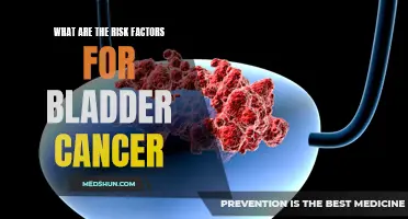 Understanding the Risk Factors for Bladder Cancer: Know the Key Factors to Consider