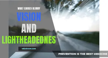 Understanding the Common Causes of Blurry Vision and Lightheadedness