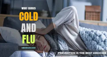 The Main Culprits Behind Cold and Flu: Uncovering the Causes