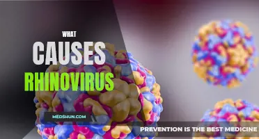 Understanding the Causes of Rhinovirus: Uncovering the Culprits Behind the Common Cold