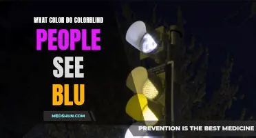 Understanding How Colorblind Individuals Perceive the Color Blue
