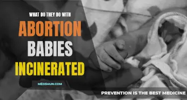 What Happens to Abortion Babies After They Are Incinerated?
