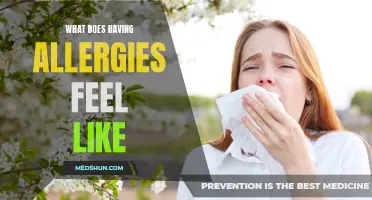 The Overwhelming Sensations: Understanding What It Feels Like to Have Allergies