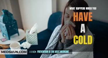 The Effects of Having a Cold: A Comprehensive Look at Symptoms and Remedies