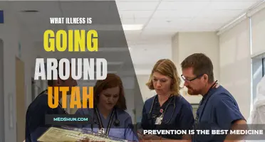 Latest Illness Outbreaks in Utah: What You Need to Know
