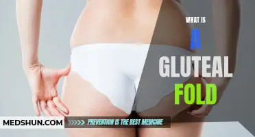 Understanding the Science Behind the Gluteal Fold