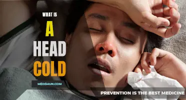 Understanding the Symptoms and Treatment of a Head Cold