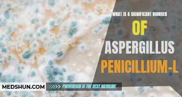 Understanding the Significance of Aspergillus Penicillium-Like in Environmental Health