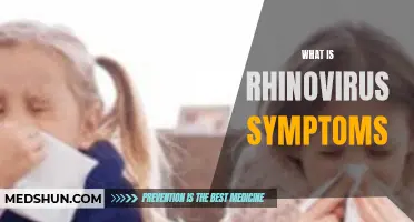 Understanding Rhinovirus Symptoms: What You Need to Know