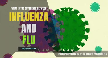 Influenza vs. Flu: Unraveling the Differences