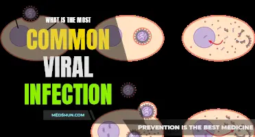 Understanding the Prevalence of Viral Infections: Unveiling the Most Common Strain