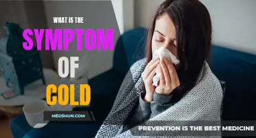 Understanding the Common Symptoms of Cold
