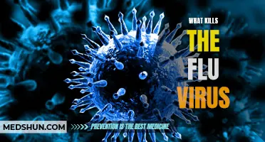 Understanding How to Kill the Flu Virus: Effective Strategies for Fighting Influenza