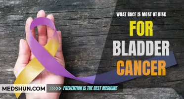 Understanding the Racial Disparities in Bladder Cancer Risk