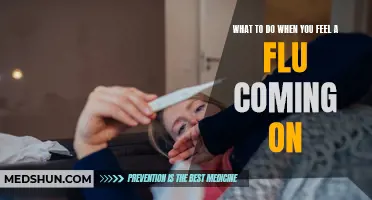 Proactive Steps to Take When You Feel a Flu Coming On