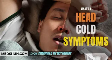Understanding the Symptoms of a Head Cold