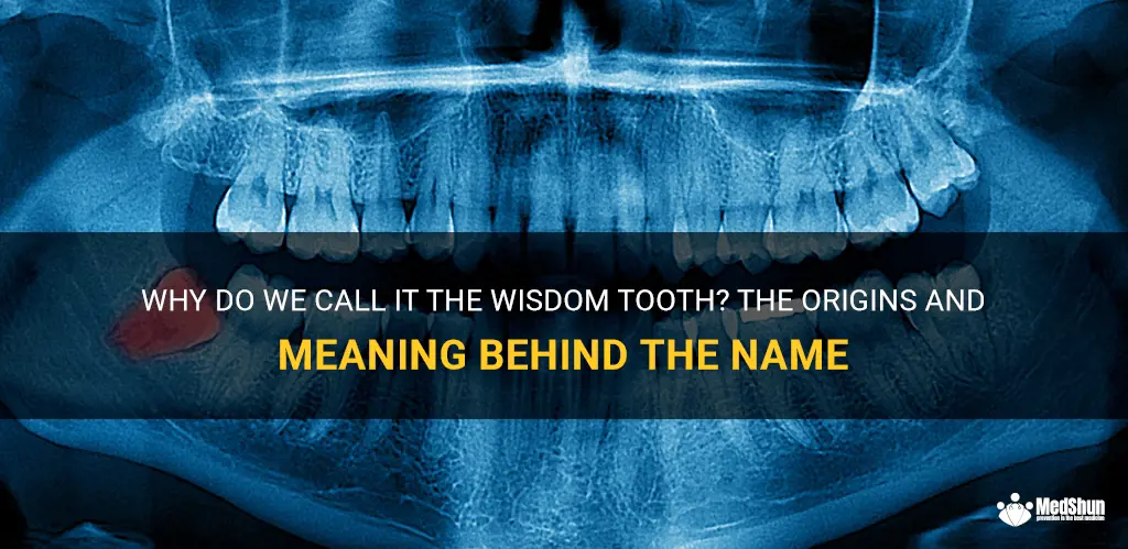 Why Do We Call It The Wisdom Tooth? The Origins And Meaning Behind The ...