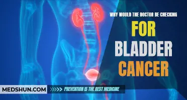 Common Symptoms and Diagnostic Measures: Why Would the Doctor Check for Bladder Cancer?